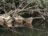 IMG 7804