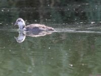IMG 7829