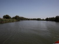 IMG 8443