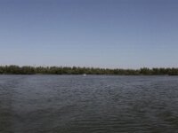 IMG 8451 stitch