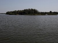 IMG 8459