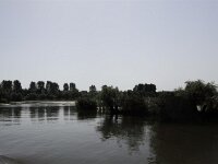 IMG 8461 stitch