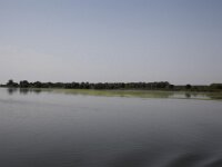 IMG 8468