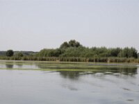 IMG 8469