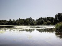 IMG 8474