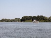 IMG 8491