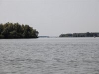 IMG 8493