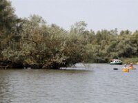 IMG 8495