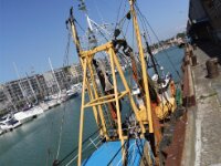 Haven Zeebrugge 182