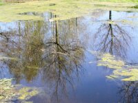 Lente april 2013 061