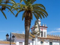 009 El Rocio