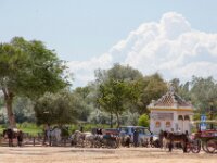 016 El Rocio
