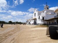 017 El Rocio