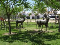 094 El Rocio