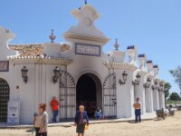 115 El Rocio
