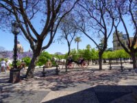 051 Dag 7 Jerez