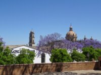 053 Dag 7 Jerez