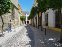 138 Dag 7 Jerez