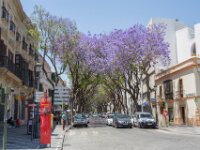 265 Dag 7 Jerez