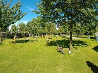 765 Beelden Lissewege