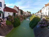 780 Beelden Lissewege